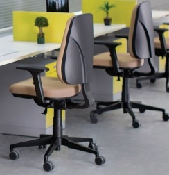Linha B-up
