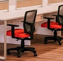 Linha Eco