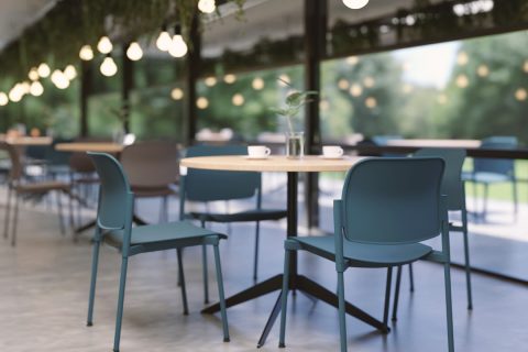 LEAF — modelo relacionado